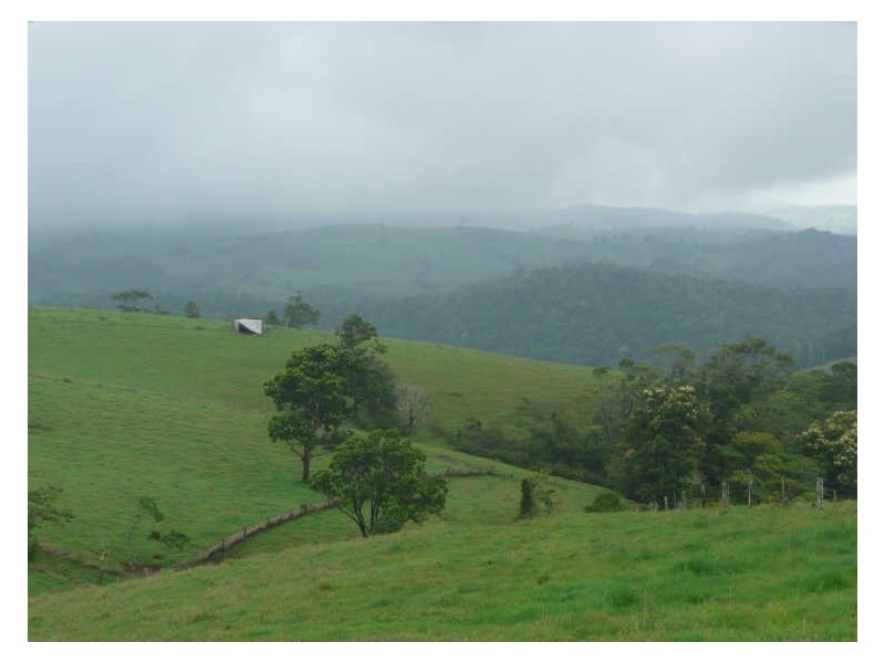 Millaa Millaa QLD 4886