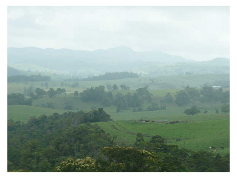 Millaa Millaa QLD 4886