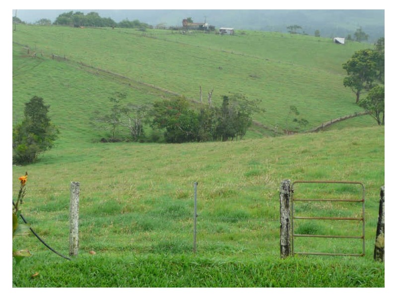 Millaa Millaa QLD 4886