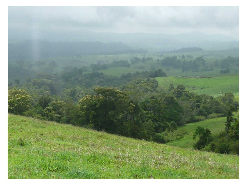 Millaa Millaa QLD 4886
