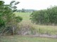 Yungaburra QLD 4884