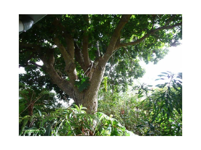 Atherton QLD 4883