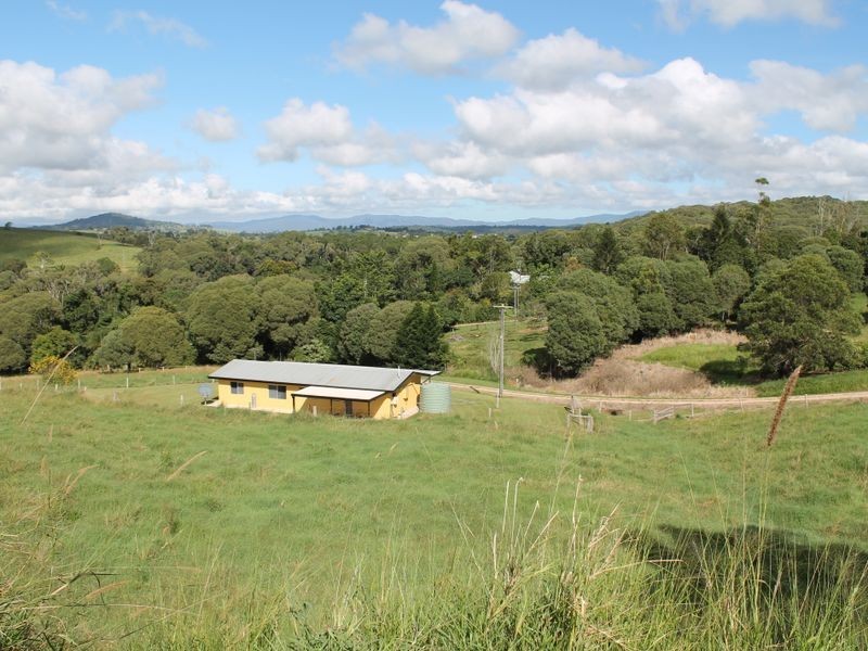 Yungaburra QLD 4884