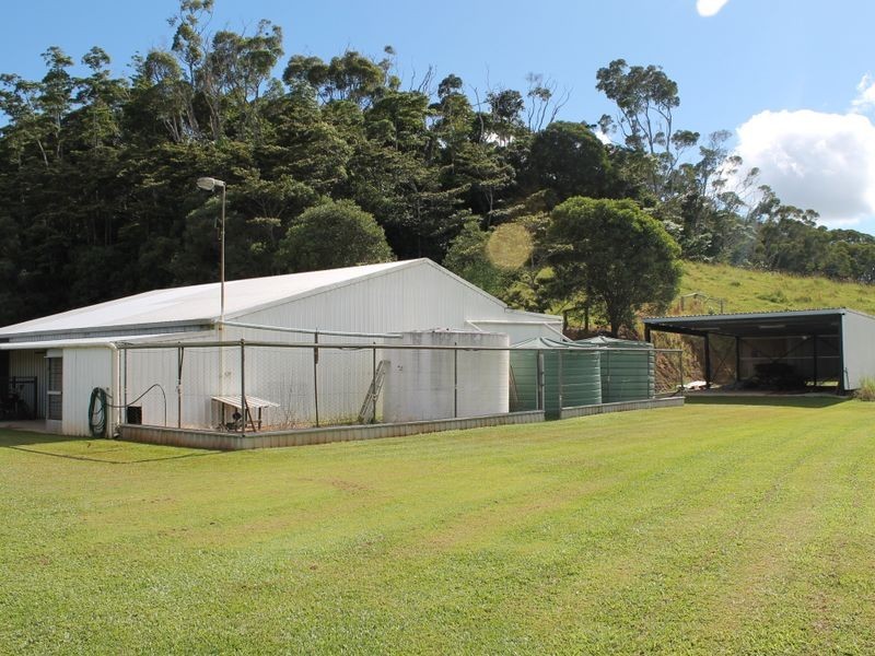 Yungaburra QLD 4884