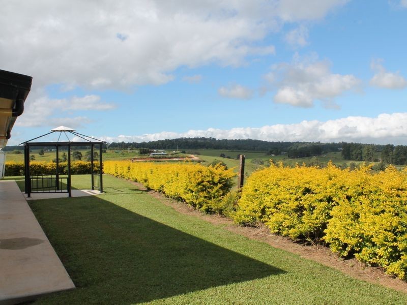 Yungaburra QLD 4884