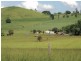 Upper Barron QLD 4883