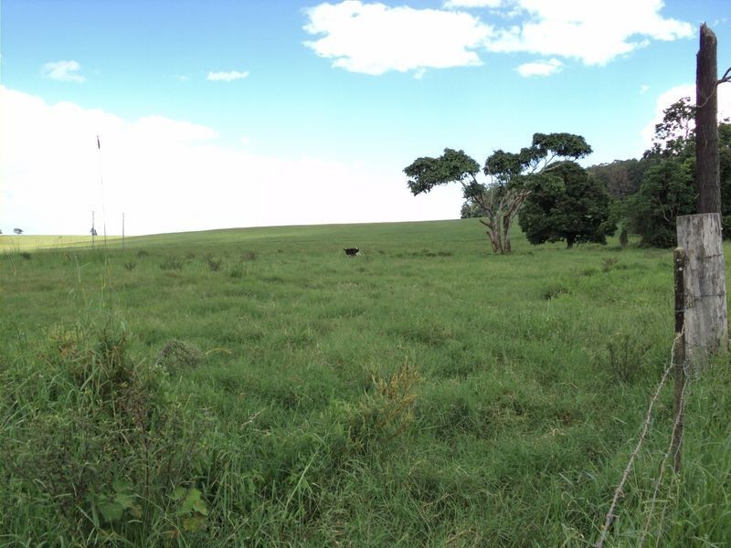 Upper Barron QLD 4883