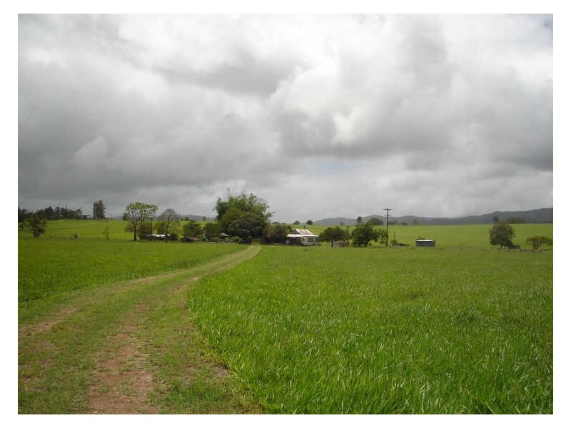 Upper Barron QLD 4883