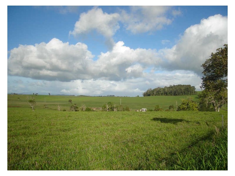 East Barron QLD 4883