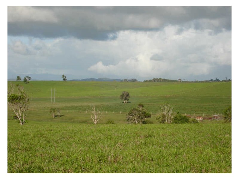 East Barron QLD 4883