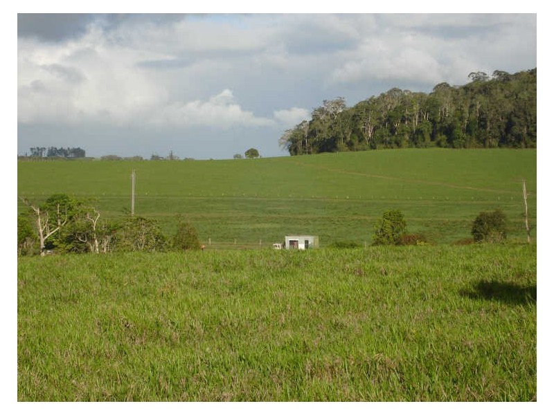 East Barron QLD 4883