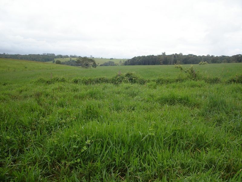 East Barron QLD 4883