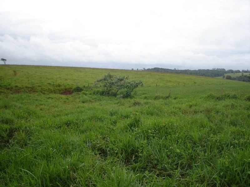 East Barron QLD 4883