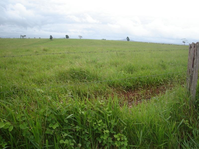 East Barron QLD 4883