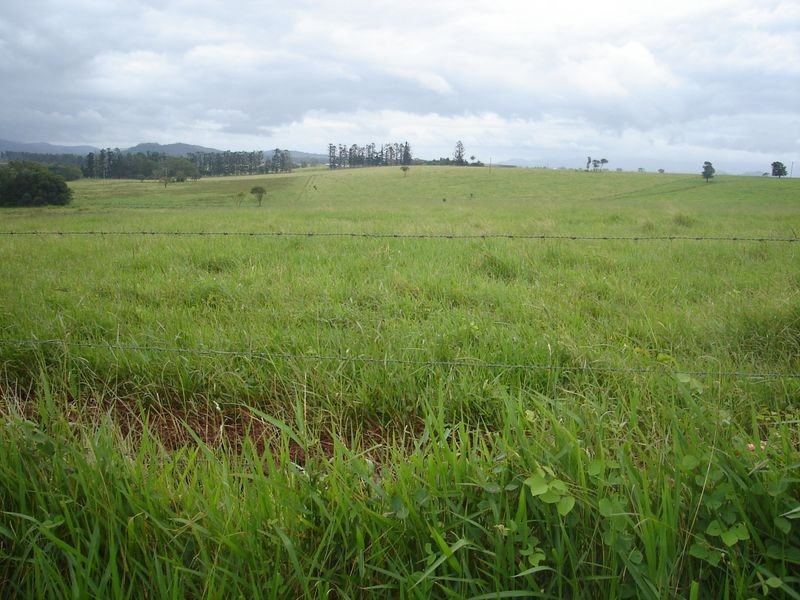 East Barron QLD 4883