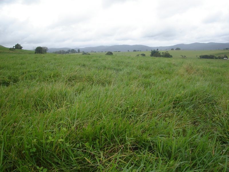 East Barron QLD 4883