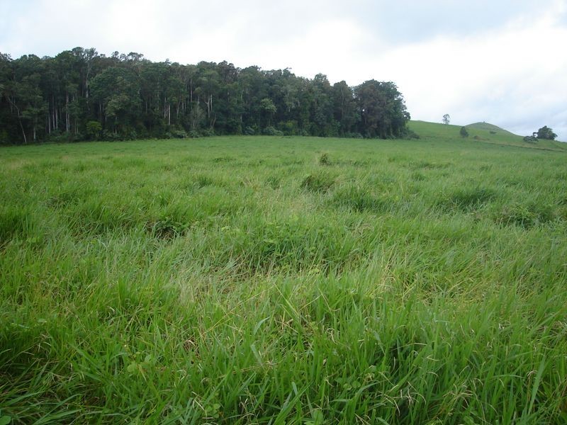 East Barron QLD 4883