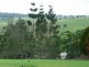 Yungaburra QLD 4884