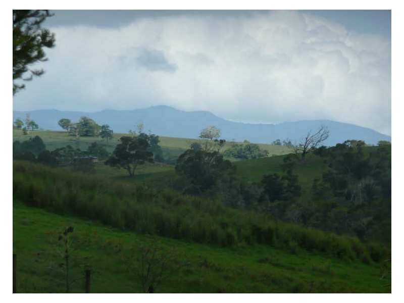 Yungaburra QLD 4884