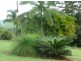 Yungaburra QLD 4884