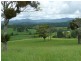 Yungaburra QLD 4884