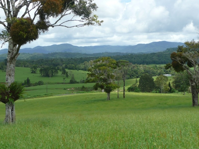 Yungaburra QLD 4884