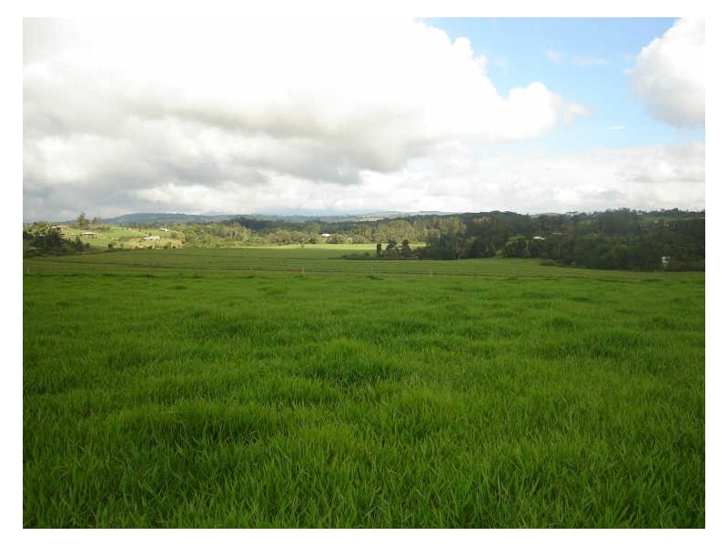 Malanda QLD 4885