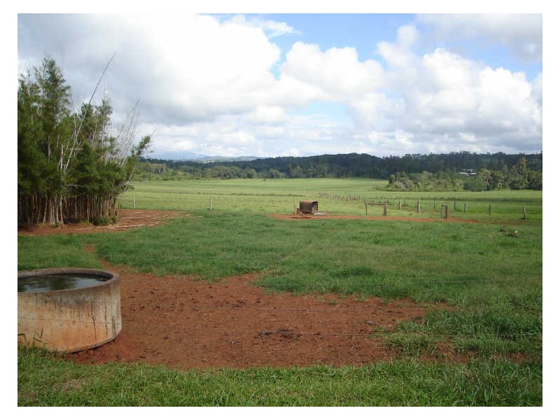 Malanda QLD 4885