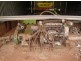 Malanda QLD 4885