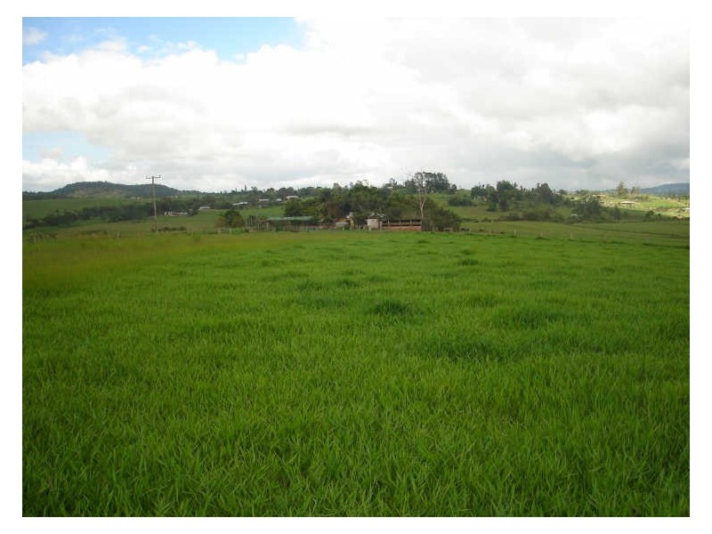 Malanda QLD 4885