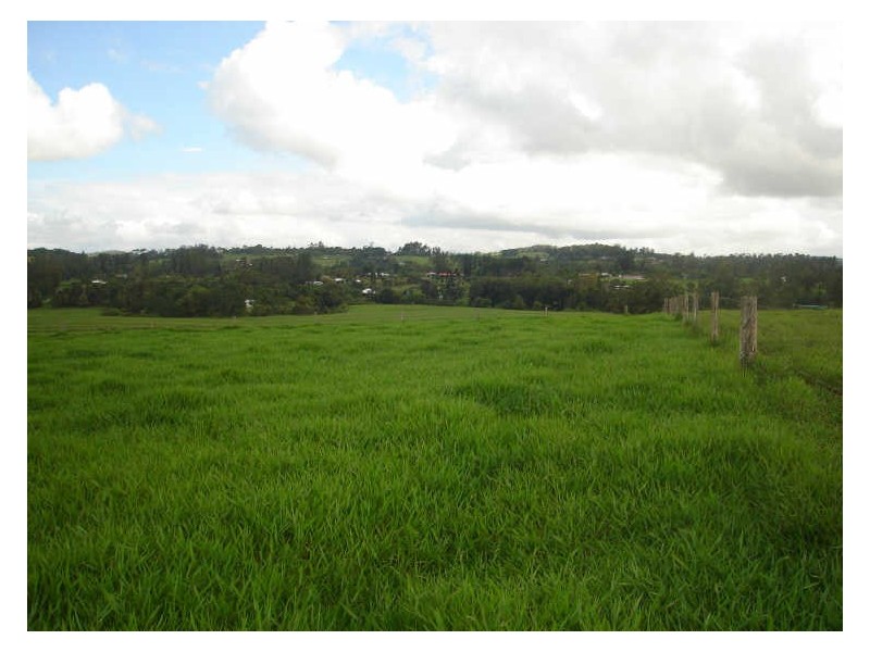 Malanda QLD 4885