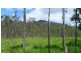Wongabel QLD 4883
