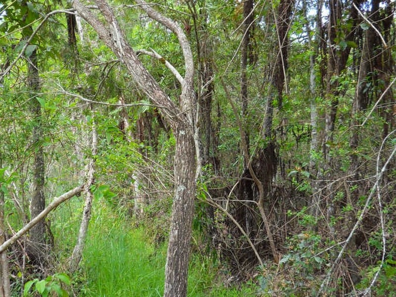Wongabel QLD 4883