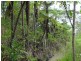 Wongabel QLD 4883