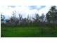 Wongabel QLD 4883