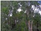 Wongabel QLD 4883