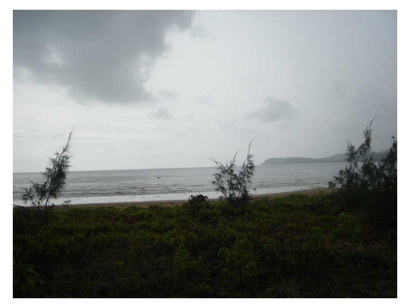 Kurrimine Beach QLD 4871