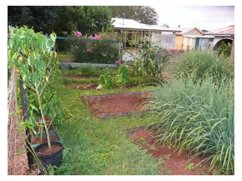 Kairi QLD 4872