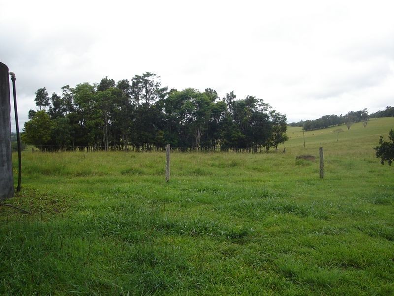 Yungaburra QLD 4884