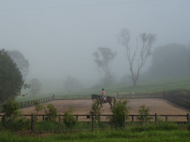 Yungaburra QLD 4884
