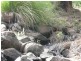 Herberton QLD 4887