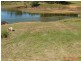 Yungaburra QLD 4884