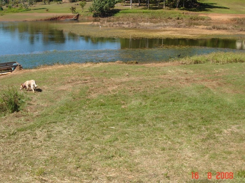 Yungaburra QLD 4884
