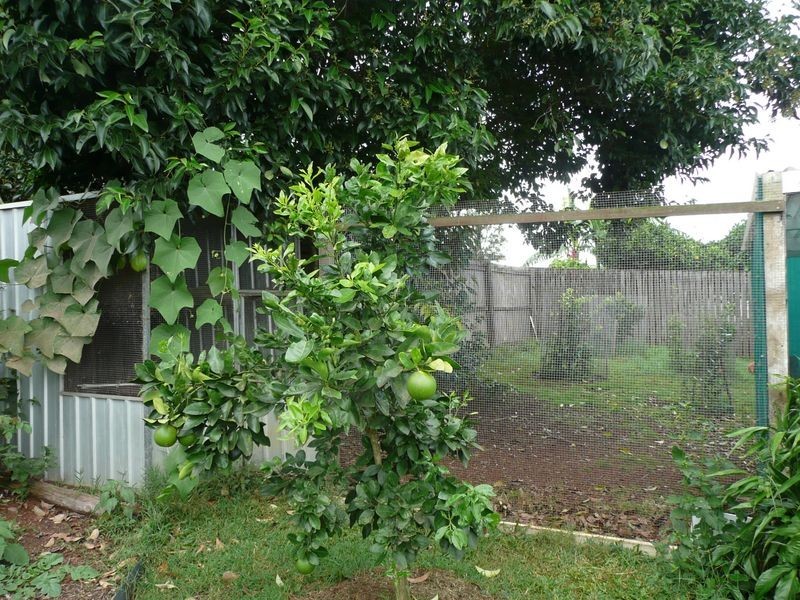 Atherton QLD 4883