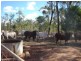 Mount Garnet QLD 4872