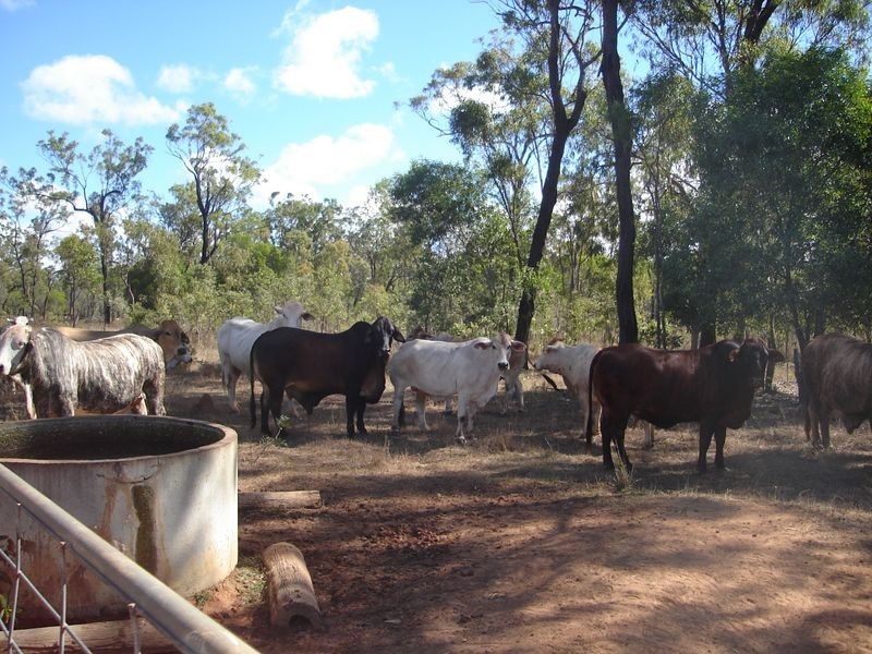 Mount Garnet QLD 4872