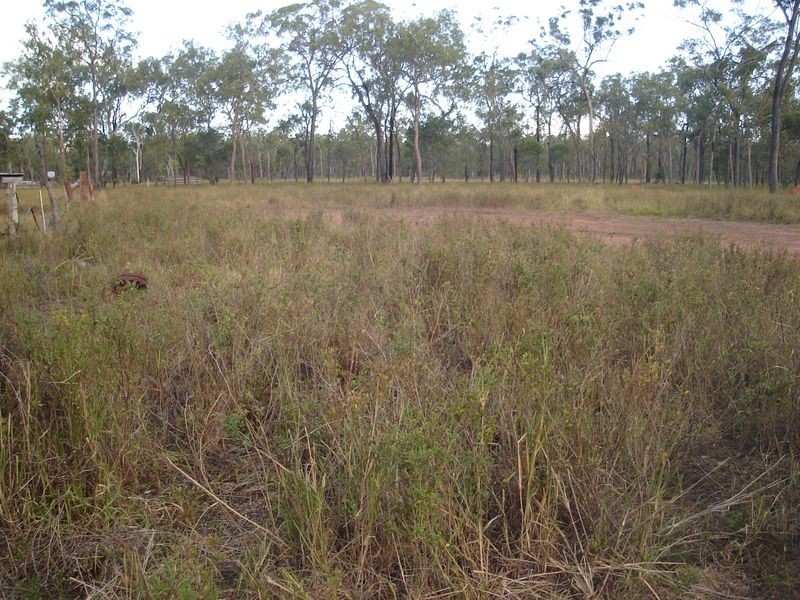 Mount Garnet QLD 4872