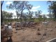 Mount Garnet QLD 4872