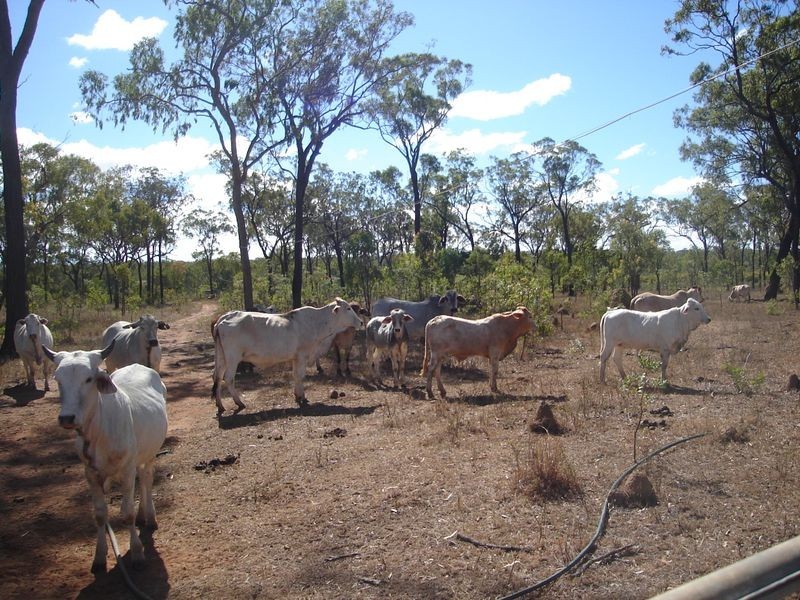 Mount Garnet QLD 4872