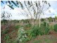 Tolga QLD 4882